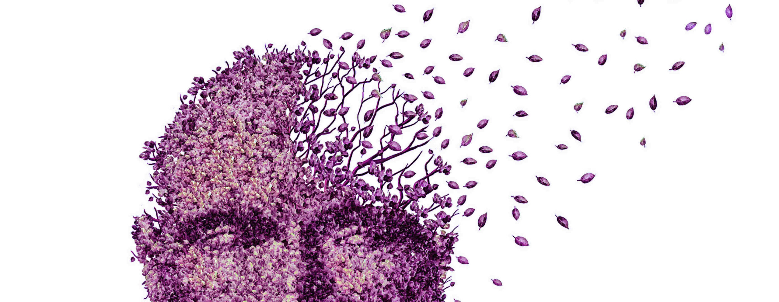 What are the 10 Different Types of Dementia?